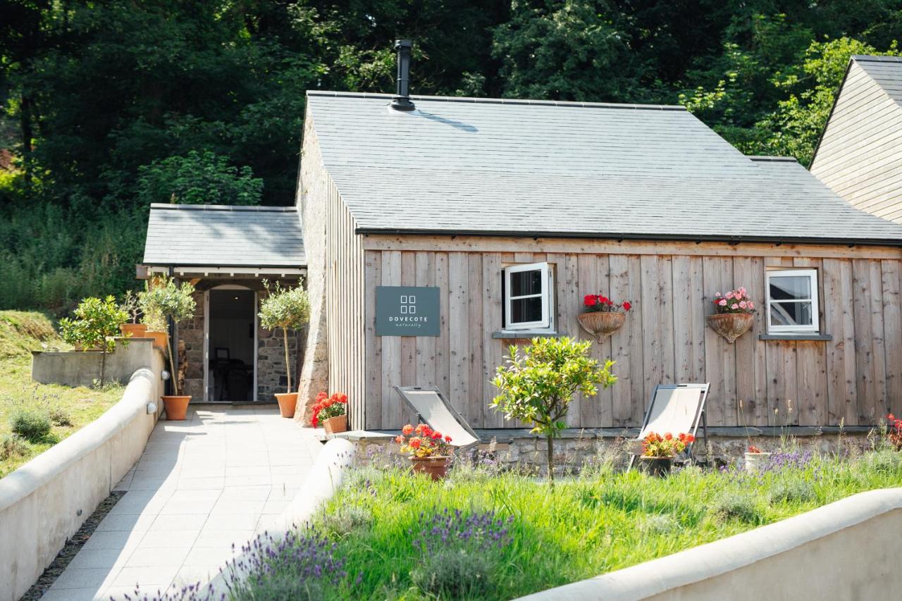 텐비 Trefloyne Manor 게스트하우스 외부 사진